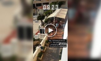 Туристи влаштували боротьбу за шезлонги у басейну