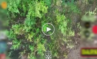 Українські захисники взяли в полон двох росіян за допомогою дрону на Покровському напрямку