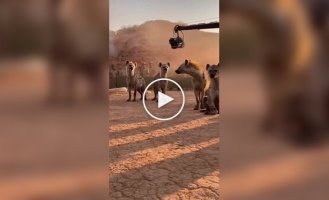 Як знімали б «Короля Лева» без CGI: нейромережа показала кумедну версію класики