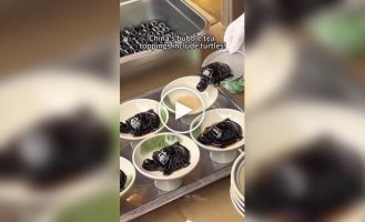 Tea with gummy turtles in China.