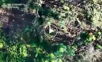 Ukrainian border guards work at the border