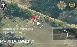 Omega missiles destroyed a howitzer and a 2S19 Msta-S self-propelled gun of the Russian invaders