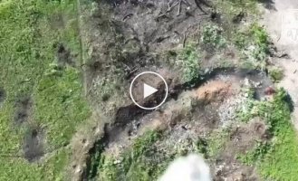 Bakhmut direction, Ukrainian drone drops ammunition on the Russian military