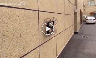 Літаючий дрон-павук винайшли в Китаї