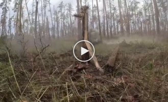 Kreminnaya - we clear the forest from Russians