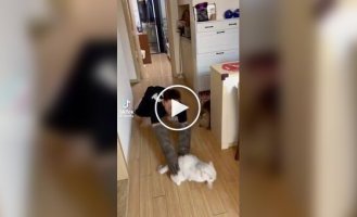 Симпатичная, но крайне нервная клиентка