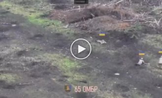 Ukrainian units of the 65th mechanized brigade caught two invaders near Novopropovka towards Zaporozhye