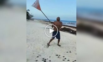 Чоловік прийшов на допомогу черепахам