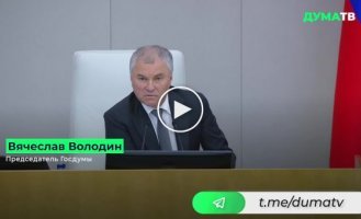 Спикер Госдумы Володин предложил депутатам провести лето на знаменитых курортах «ЛНР» и «ДНР»