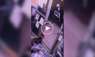 Побег смышленого пса из приюта для животных