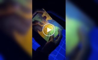Китайський паспорт під ультрафіолетом