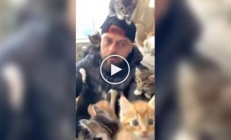 На мужчину напала стая домашних хищников