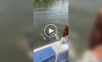 Какой хороший мальчик