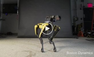 Boston Dynamics научили робота-собаку Spot танцевать под музыку