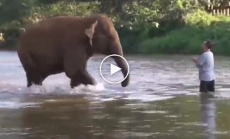 Познакомьтесь - это Дерек Томпсон