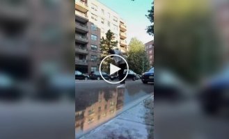 Мужчина притворился наркоманом, чтобы занять парковку для жены