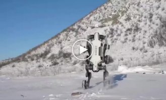 Китайцы протестировали робособаку в экстремальных условиях