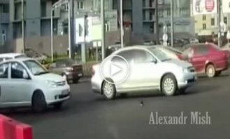 Люди спасают животных от гибели