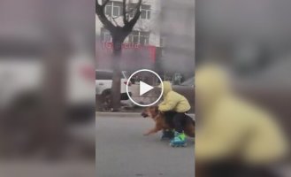 Мальчик сочетает прогулку с собакой с катанием на роликах