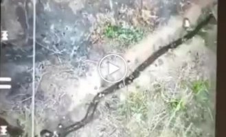 A selection of videos of damaged Russian equipment in Ukraine. Issue 34
