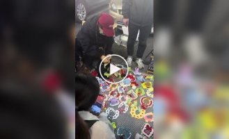 Модель для зйомок одягу для домашніх вихованців