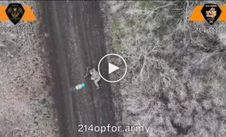 In the Novopavlovsk direction, a Russian soldier vainly begs for mercy from a Ukrainian drone operator