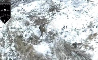 The drone operator independently eliminated a platoon of invaders in the Bakhmut direction