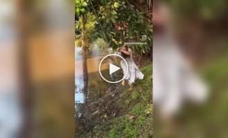 Даже неожиданное купание не смогло испортить ей этот день