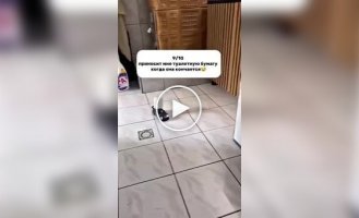 Девушка подарила парню радиоуправляемый Porsche