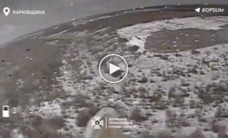 Пограничники FPV-дроном атаковали вражескую БМП вблизи Волчанска