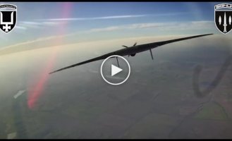 Оператори дронів батальйону SIGNUM знищили три російські БПЛА Supercam і один Орлан-10