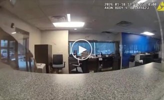 Олень устроил хаос в американском банке