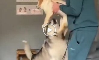 Первая встреча со своим новым другом