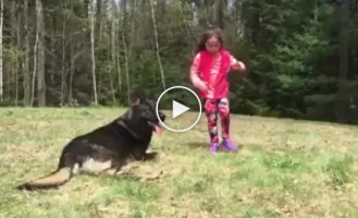 Собака защищает ребенка