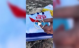 Жінка знайшла маленькому раку зі зламаною раковиною новий будинок