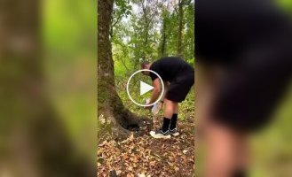 Фотоловушка неделю снимала зверей, приходивших к маленькому источнику воды