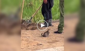 Каждый занят своим делом