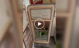 Refrigerator with a double-sided door