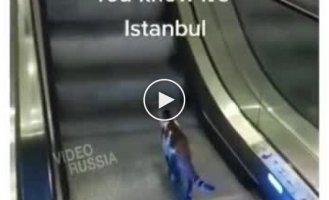 Кот нашел хорошее место для тренировок