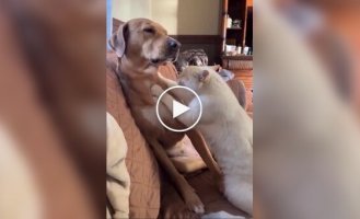 Взаємовигідна спілка