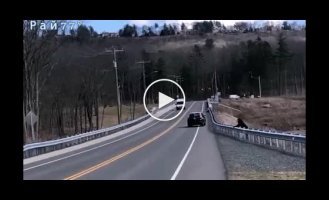 A cyclist captures a bear taking her cub across the road