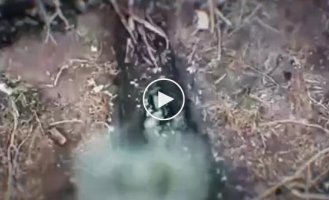 The body of an occupier flies out of a trench and falls under a bush a few meters after being dropped by a Ukrainian drone