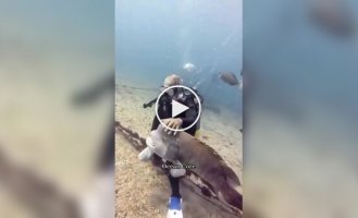 Обычные будни дайверов