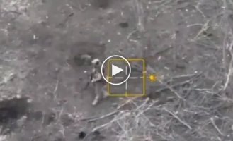Дроны FPV разорвали пополам двух российских солдат, когда они пытались притвориться мертвыми