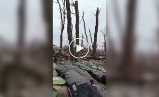 The occupier filmed what was happening in the Zaporozhye direction