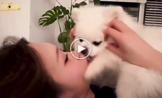 У соцмережах засудили кореянку, яка дала собаці облизати обличчя