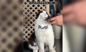 Types of cat engines