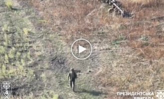 A Russian invader runs away from a drone of the Presidential Brigade fighters