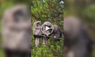 Хвать тебя за нос!