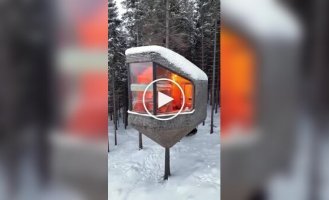 Норвезький готель для любителів будинків на деревах